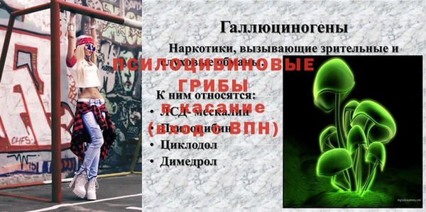 мдпв Алексин